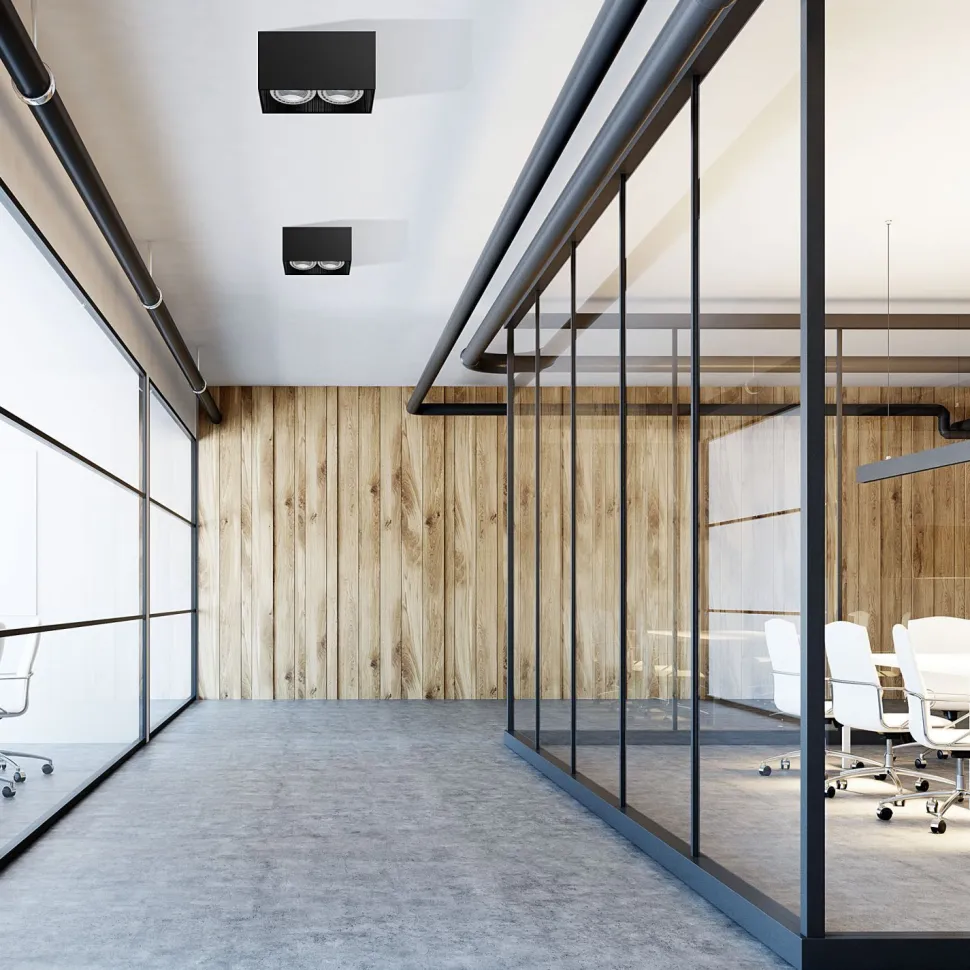 Aufbaustrahler Schwarz 2-flmg