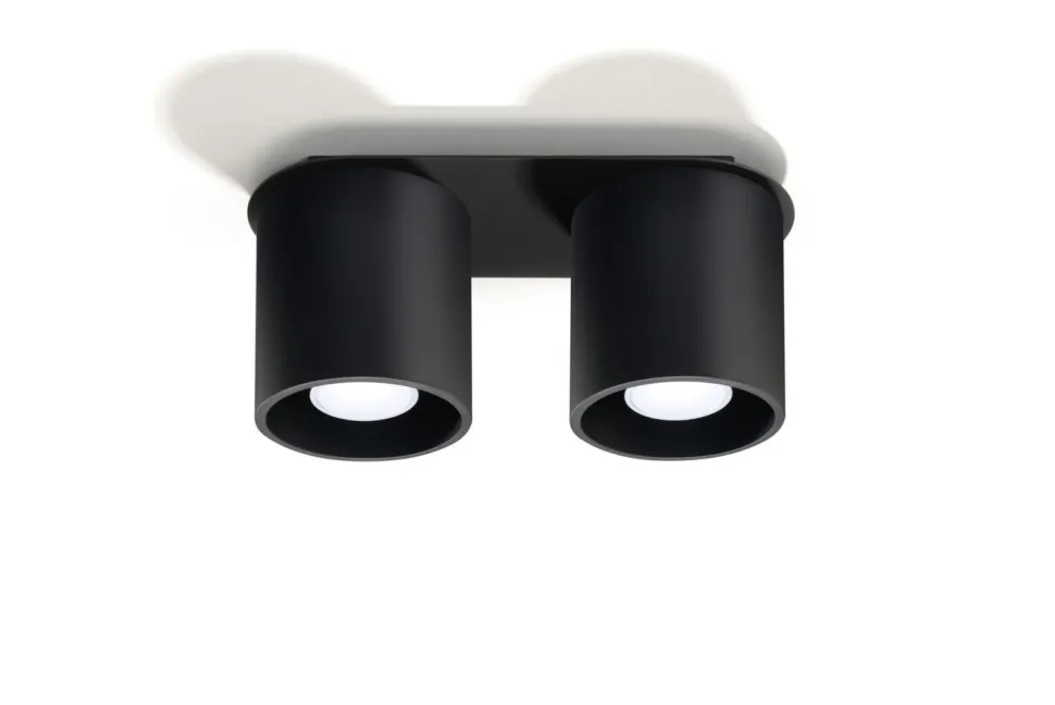 Deckenleuchte RODA in Schwarz 2-flmg