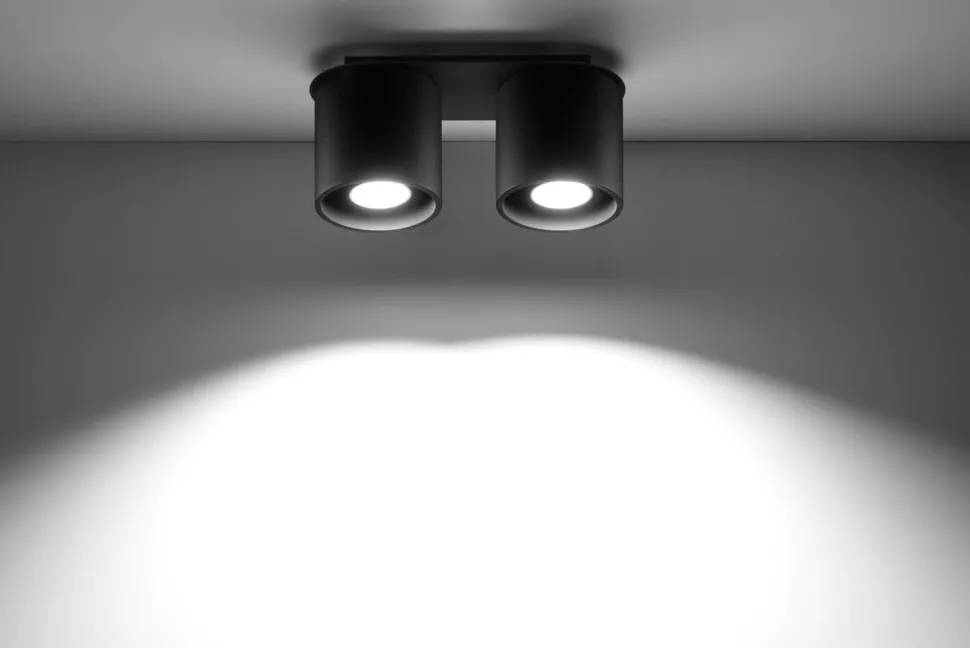 Deckenleuchte RODA in Schwarz 2-flmg