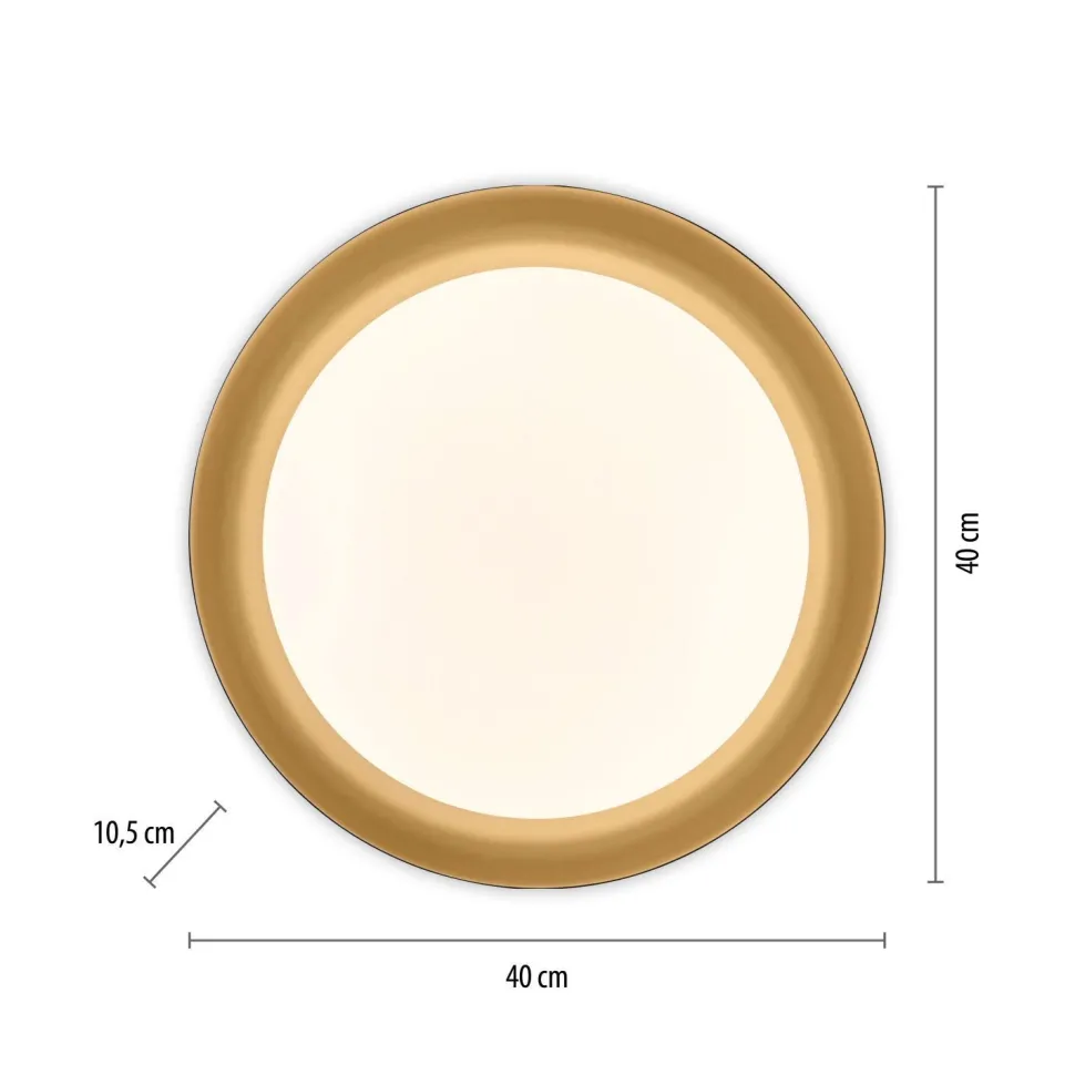 Dimmbare LED Deckenlampe Schwarz Gold Ø40 cm 2850 lm