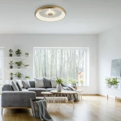 Dimmbare LED Deckenleuchte 2700-5000 K Ø61,5 cm Messing