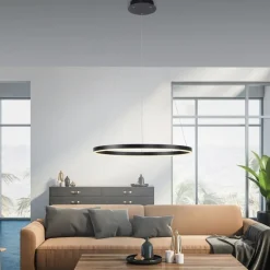 Dimmbare LED Pendelleuchte Schwarz Ø58,5 cm 3000 K 28 W