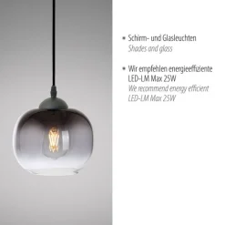 Hängelampe Glasschirm Rauchgrau Schwarz E27 Ø19 cm rund
