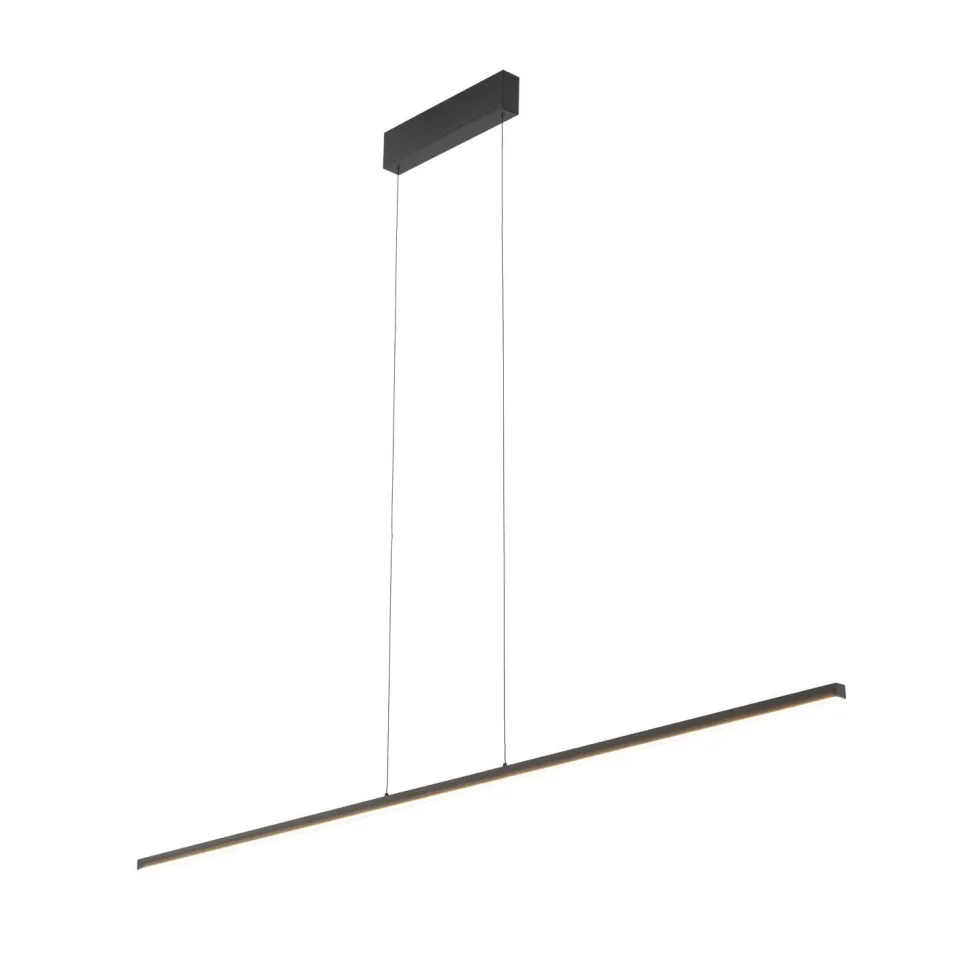 Hängelampe LED Schwarz 3000 K 1000 lm B: 120 cm lang