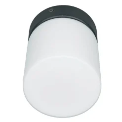 Kleine Deckenleuchte Weiß Schwarz Glasschirm IP44