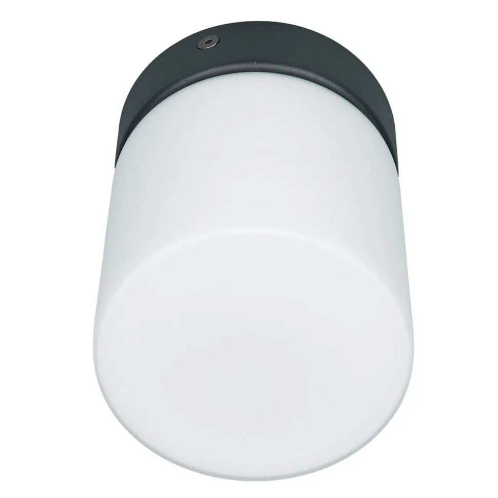 Kleine Deckenleuchte Weiß Schwarz Glasschirm IP44