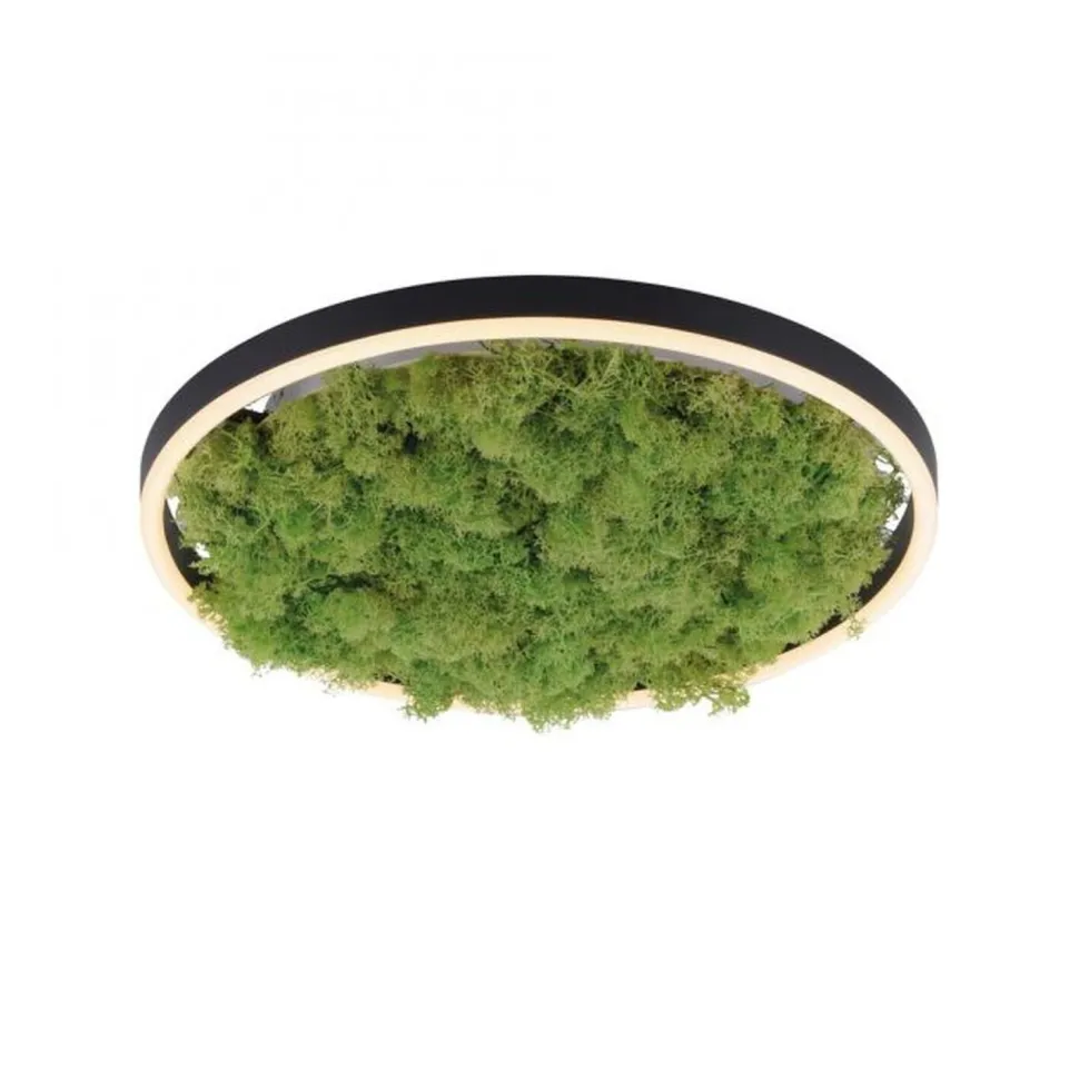 LED Deckenlampe Moos Schwarz 3000 K 2650 lm dimmbar