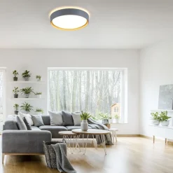 LED Deckenleuchte Grau Natur Ø40 cm 3400 lm dimmbar