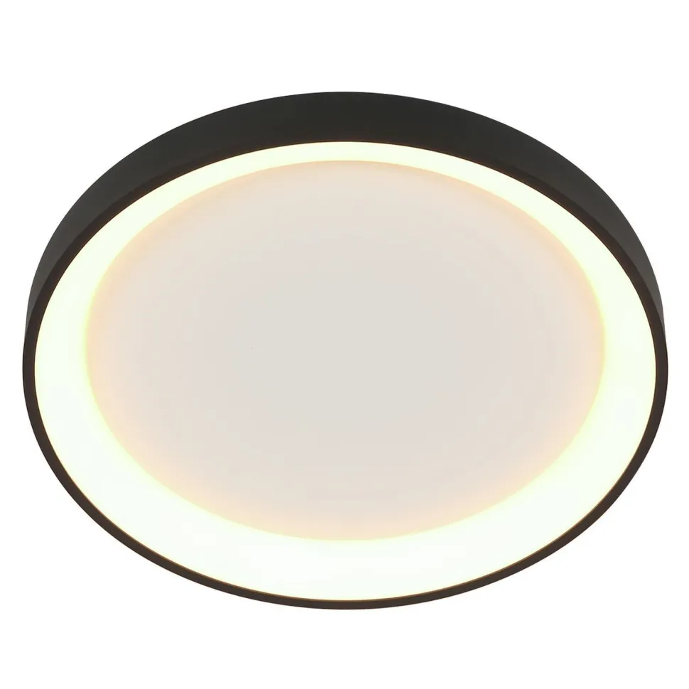 LED Deckenleuchte Schwarz Weiß Ø38 cm 30 W gemütlich