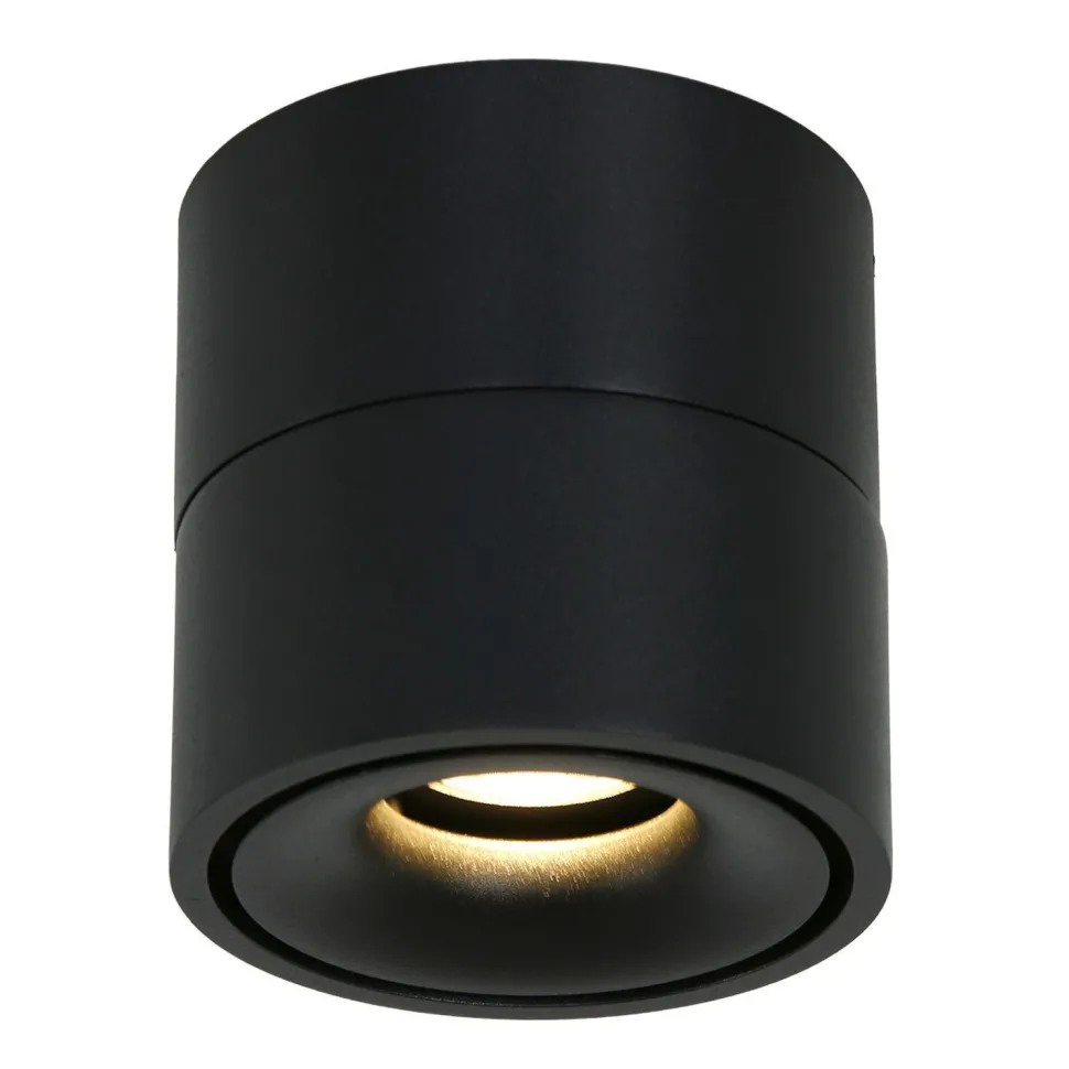 LED Deckenspot Metall Schwarz Ø78 cm rund 8 W 2700 K