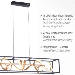 LED Hängelampe Schwarz Gold Metall L:110 cm dimmbar