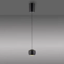 LED Hängeleuchte Metall warmweiß 3000 K 800 lm Schwarz