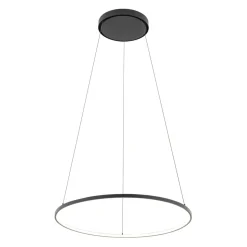 LED Hängeleuchte Ring Ø 60 cm Schwarz 2700 K 660 lm Metall
