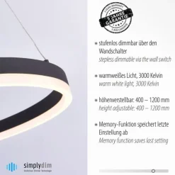 LED Pendelleuchte Anthrazit dimmbar 3000 K Ø60 cm Ring