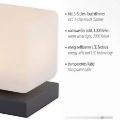 LED Tischleuchte Anthrazit Glas 16 cm 580 lm dimmbar