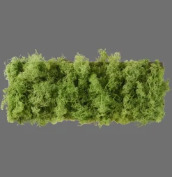 LED Wandlampe Up Down B:32 cm 3000 K 130 lm aus Moos