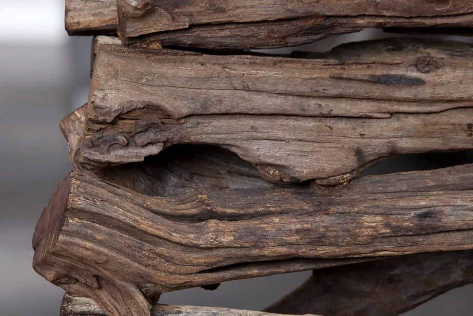 Natürliche Tischlampe Modern kunstvoll 40cm Treibholz