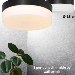 Runde LED Deckenlampe Glas Metall IP44 Ø18 cm 12 W