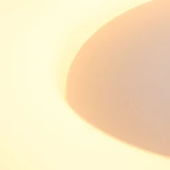 Runde LED Deckenleuchte Schwarz Weiß Ø38 cm 30 W 2700 K