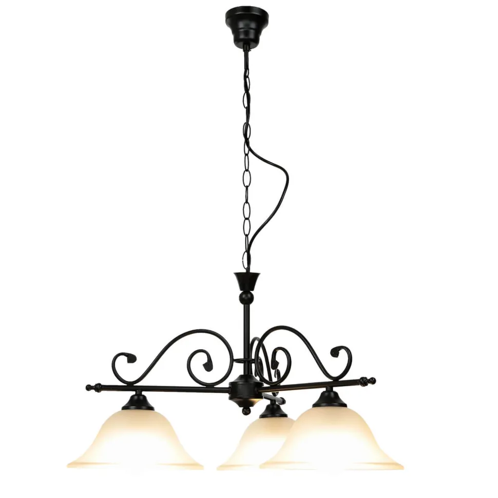 Rustikale Hängelampe verstellbar Schwarz DOROTHEA