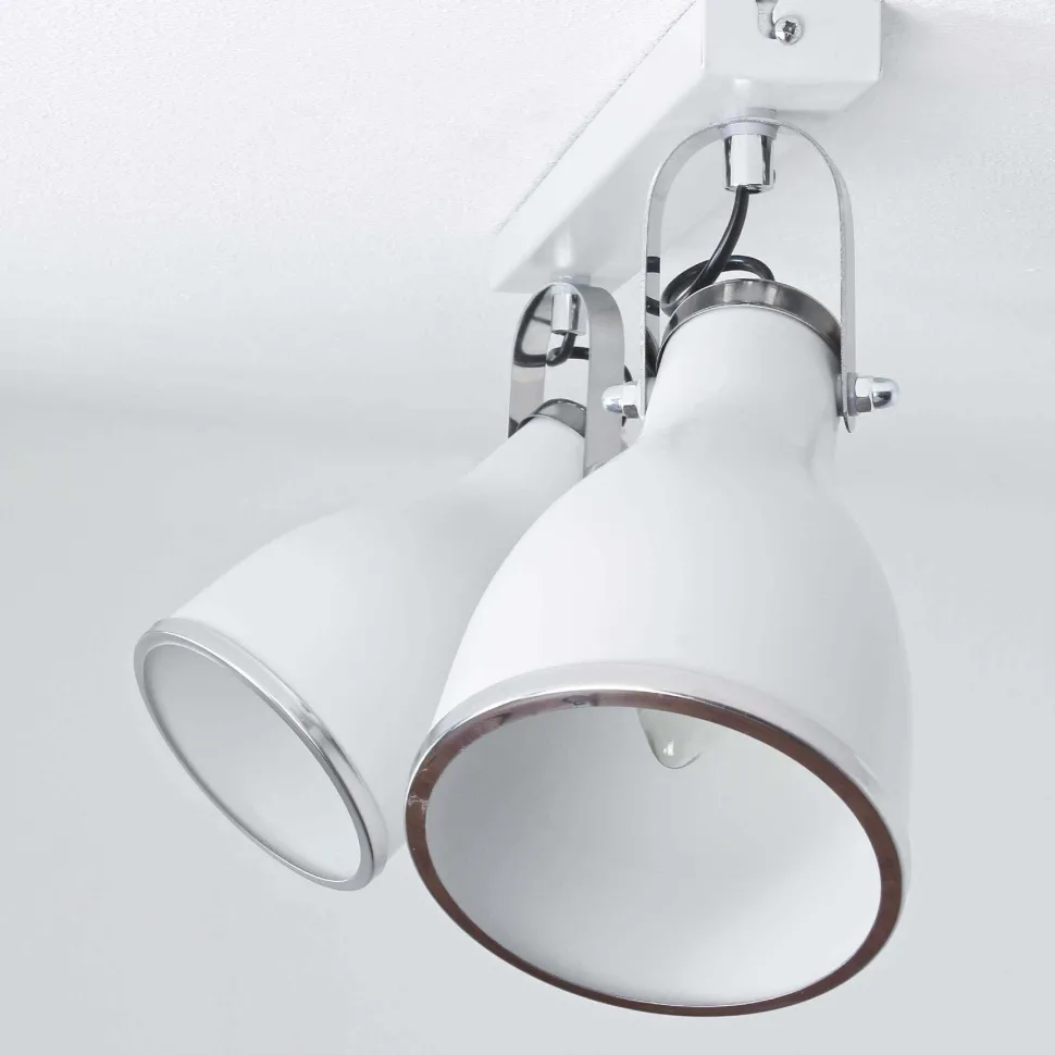 Spotstrahler BJORN GREY in Grau 2-flmg