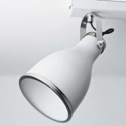 Spotstrahler BJORN GREY in Grau 2-flmg