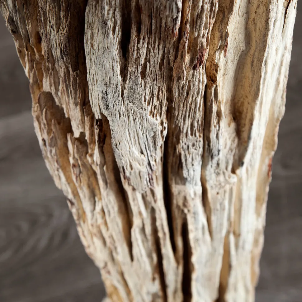 Stehleuchte 175cm Modern individuell Treibholz