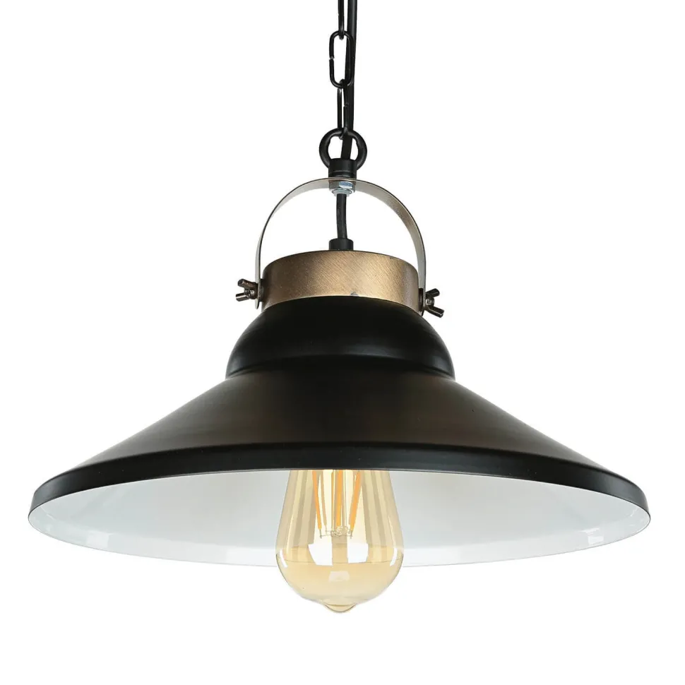 Stilvolle Hängeleuchte IRON in Schwarz